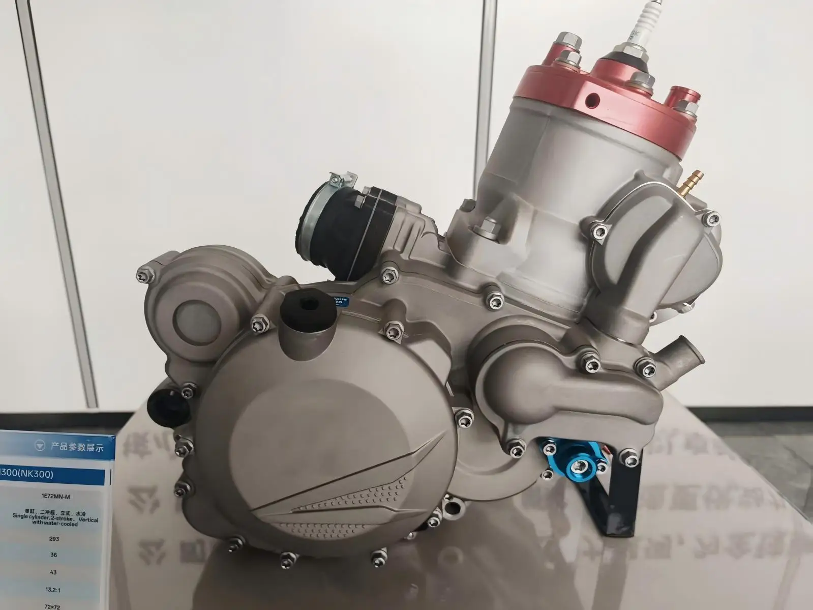 New 300cc 2 Stroke CDI Ignition High Performance Single-cylinder Water-cooled Engine for Enduro Motorcycles and Go-karts