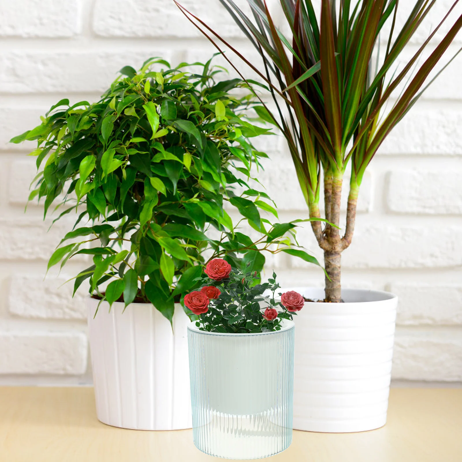 2 pçs plantador de corda de algodão auto rega vaso de armazenamento automático transparente plantas titular