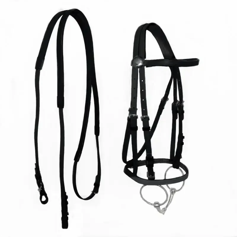 Collier de tête licou cheval durable, bride d\'équitation, équipement d\'équitation, licou en PVC, accessoires équestres