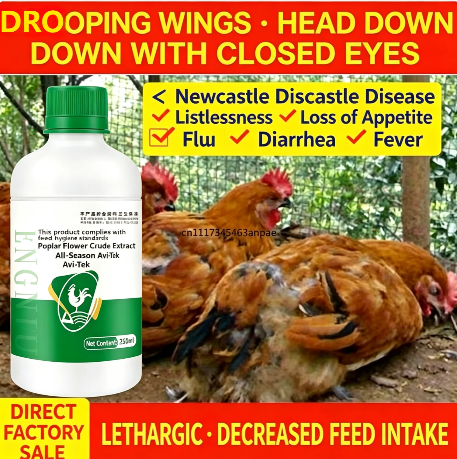 NEW Chickens ducks geese pigeons poultry cold not eating tilted head drooping wings closed eyes green stools