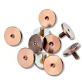 6pcs NO1 Rose