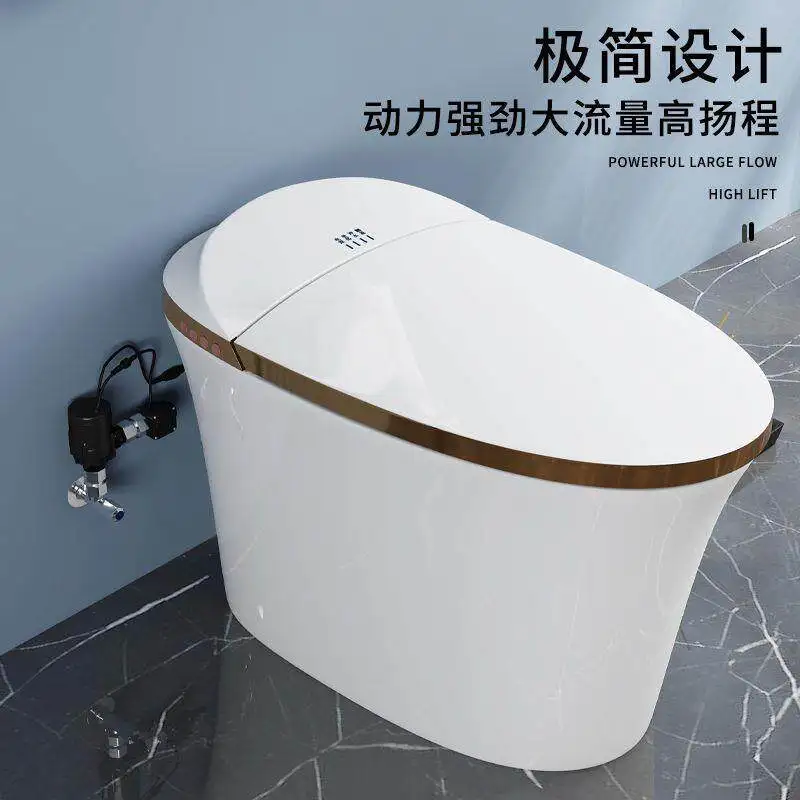 Smart toilet flushing pump, silent, fully automatic, tankless booster pump