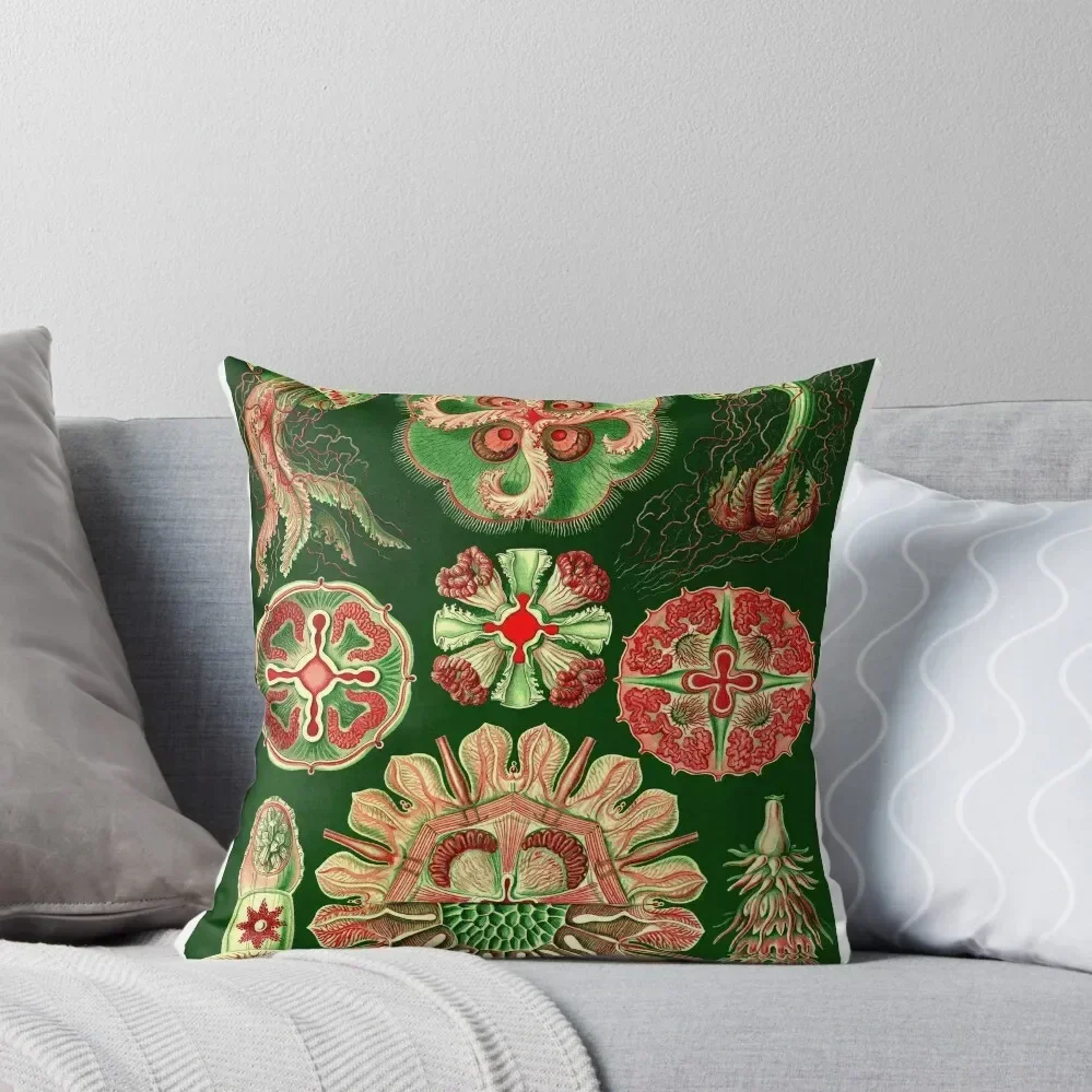 Plate 98. Discomedusae, a group of disc-shaped jellyfish. Throw Pillow Custom Cushion Photo Christmas Cushion For Home pillow