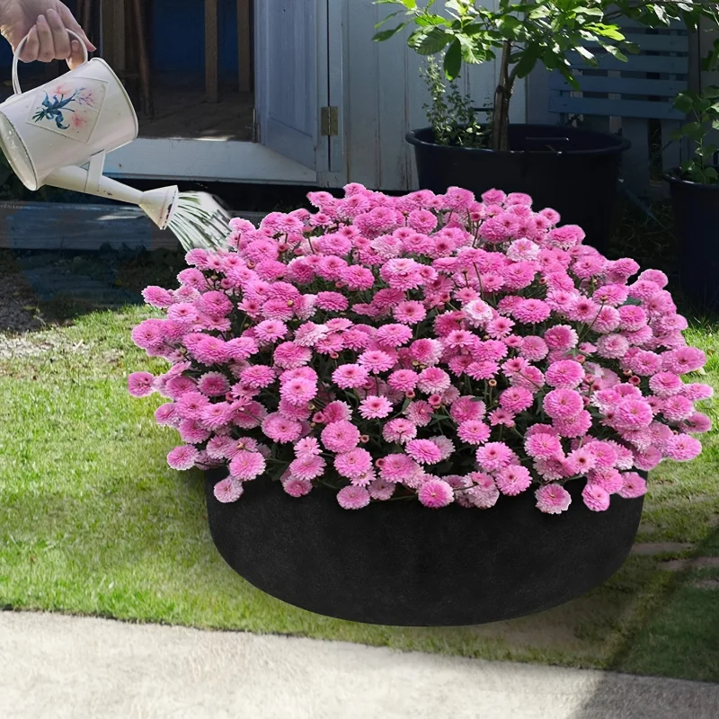 Grow Your Own Veggies With This Durable, Breathable Plant Grow Bag! gallery 2