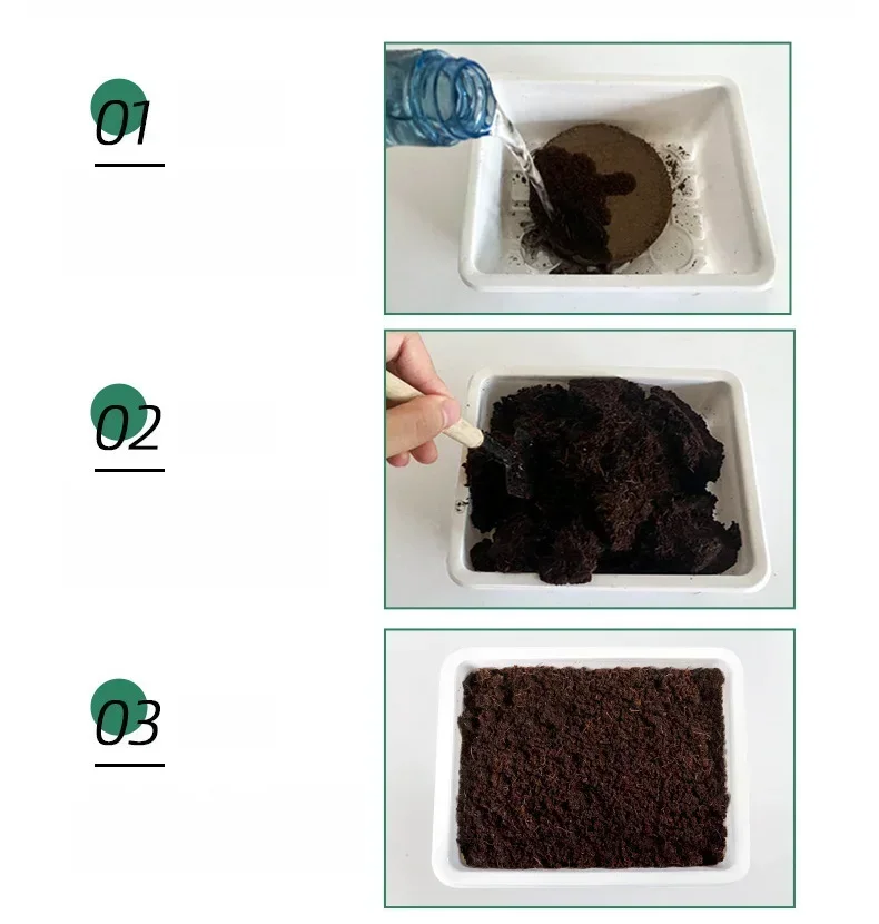 5pcs 5cm Premium Coconut Coir Bricks terreno da giardino 100% organico Eco fibra di guscio di cocco fibra di particelle in vaso pianta terreno