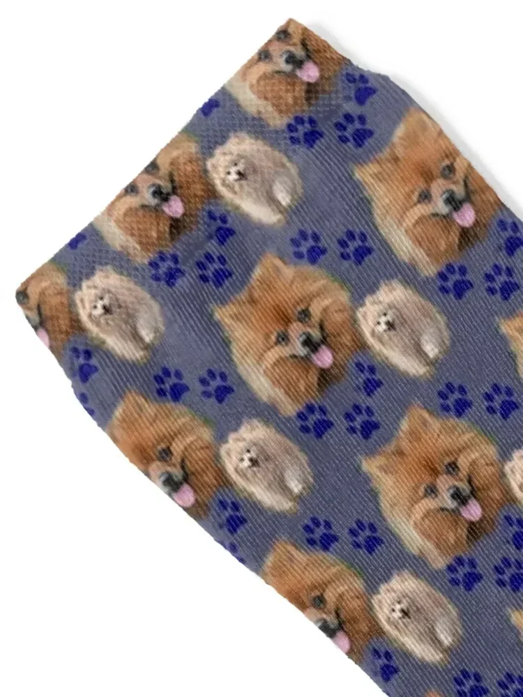 Pomeranians on blue Socks Novelties basketball Wholesale heated Ladies Socks Men's