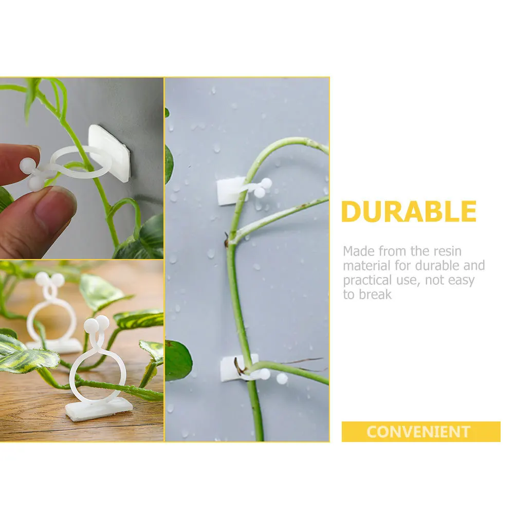 100 قطعة مقاطع جدار نبات الراتنج ذاتية اللصق تركيبات السنانير تسلق الكرمة دعم لحديقة داخلي في الهواء الطلق تدريب النباتات