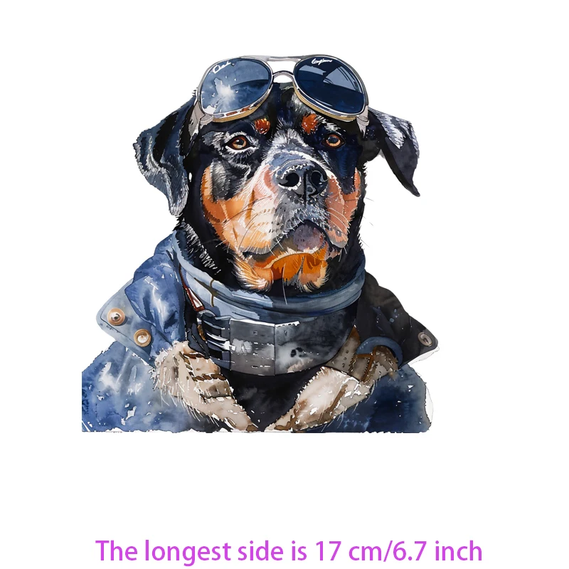 Winter Ski Colored Dog Animal Iron On Heat Transfer Sticker For Clothes Pinted Vinyl Thermal Appliques Washable T-Shirt Decal - Image 6