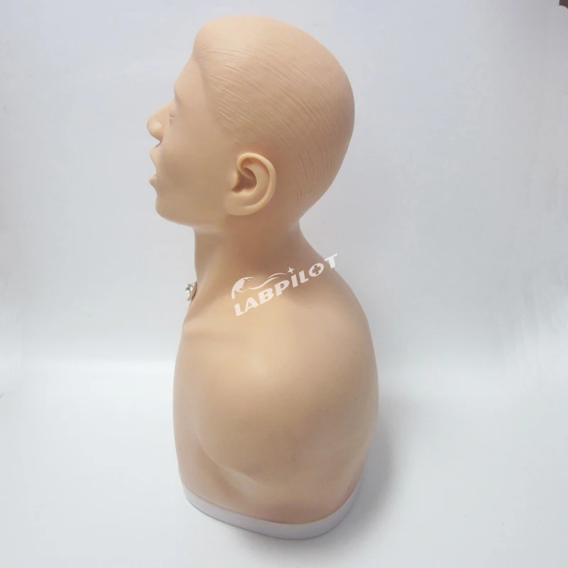 Adulto Traqueotomia Cuidados Enfermagem Simulator, Faringe e Traquéia Ensino Modelo