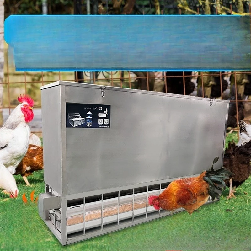 Fully automatic feeder, chicken regular feeding, chicken feeding, poultry feeding trough, chicken farm equipment, remote feeding