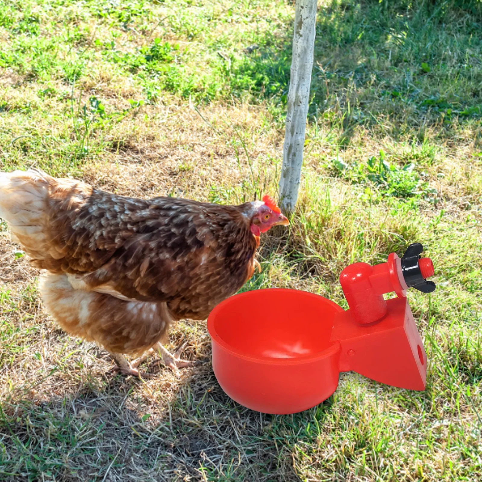 6/12/18Pcs Automatic Chicken Water Cup Waterer Bowl Farm Coop Poultry Drinking Water Feeder for Chicks Duck Goose Quail Drinker