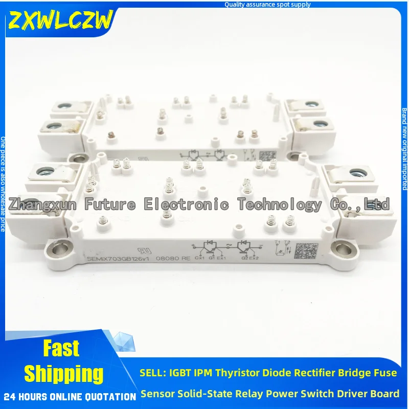 

SEMIX303GB12VS SEMIX604GB126V1 SEMIX553GB126V1 SEMIX703GB126HD SEMIX604GB126HD SEMIX553GB126HD SEMIX453GB12VS SEMIX703GB126V1