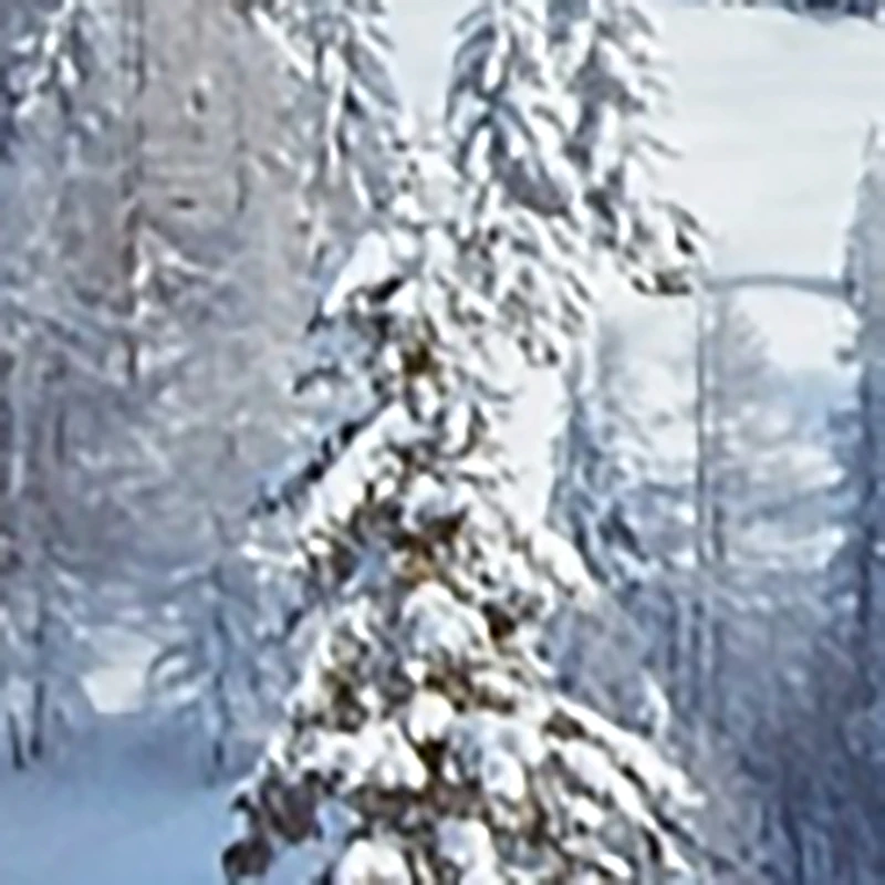 شتاء دافئ خوذة تزلج غطاء مريح لينة الصوف التزلج رئيس دفئا الكرتون لطيف أرنب الأذن غطاء خوذة الزخرفية قبعة