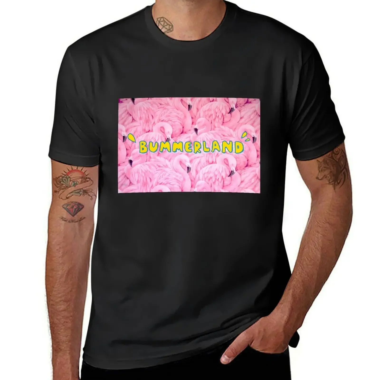 [ SALE ] AJR Bummerland Flamingo T-Shirt man clothes graphic tee shirt black t-shirts for men