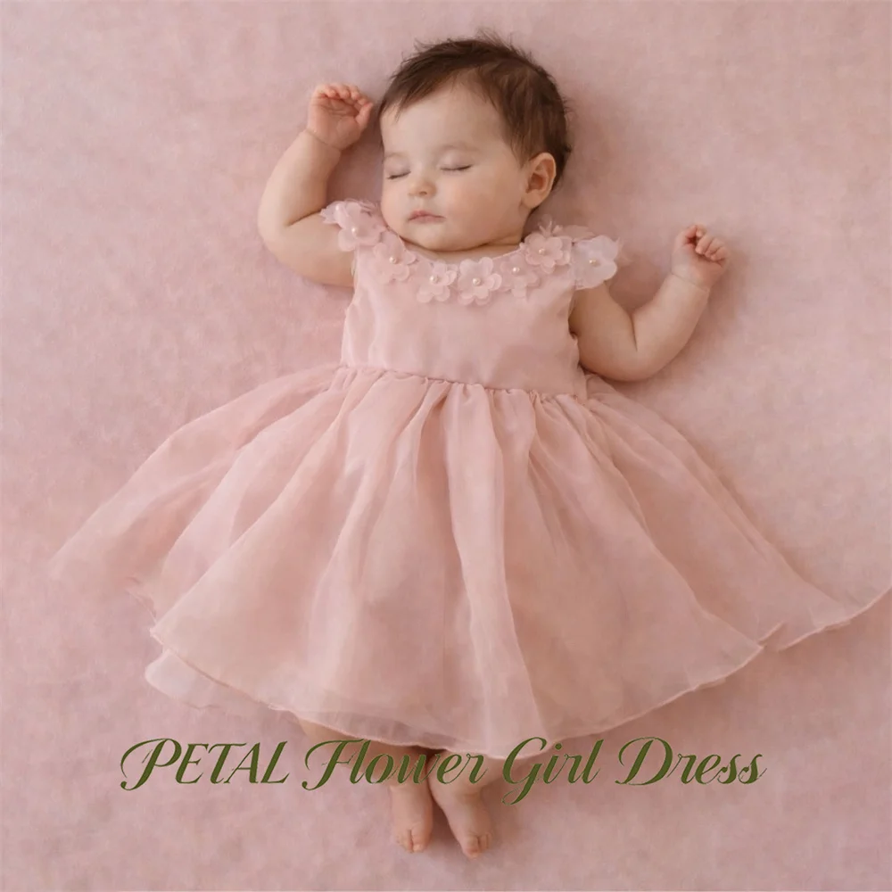 Petal Dusty Pink First Communion Gown Round Neck Short Sleeve Girls Princess Dress 3D Petal Cute Evening Party Dress for Girls