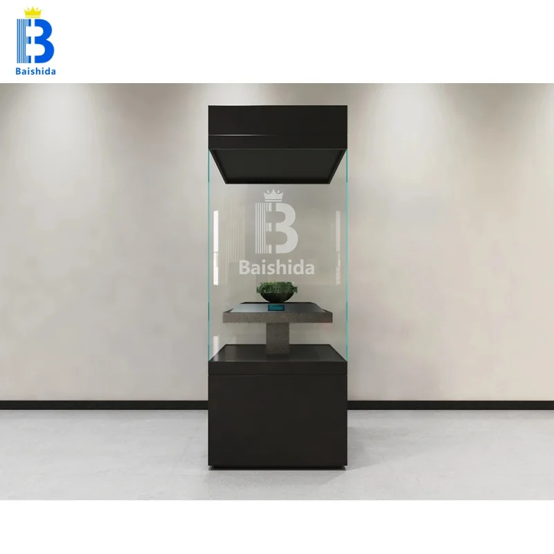 custom.Automatic Door Curved Glass LED Showcase Display Set Pedestal Jewelry Store and Museum Display