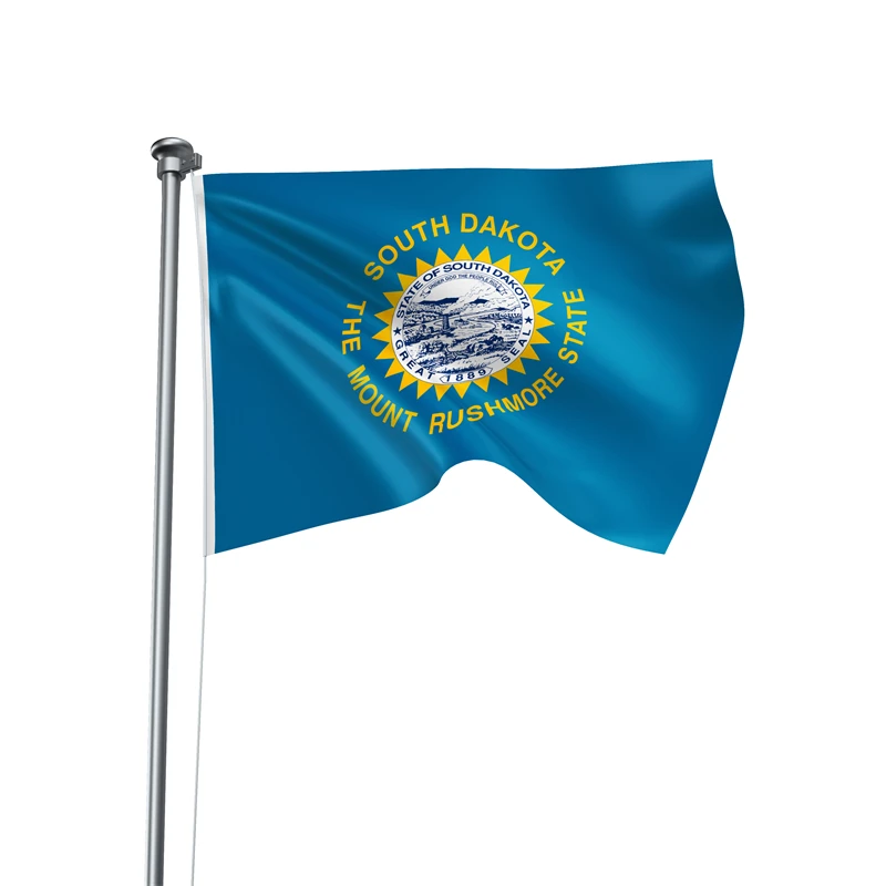 Gaslight Gatekeep Girlboss 5' x 3' South Dakota State Flag Banner Polyester with Brass Grommets 150cm x 90cm