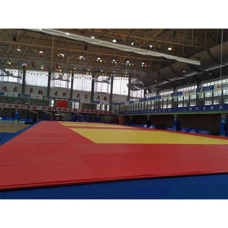 Customized LOGO Customizable Indoor Sports Padding Folding Wrestling Mat air Track Tumble Mat Gyms Protecting Judo Mat for Schoo