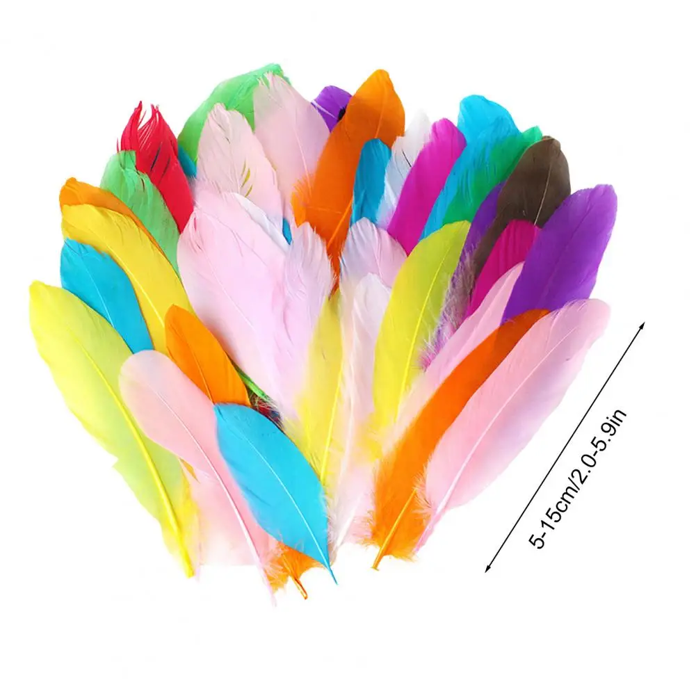 50 stks/set Kleurrijke Natuurlijke Veren Kinderen Volwassenen DIY Veer Ambachten Dream Catcher Home Party Decoraties Echte Feather Kit