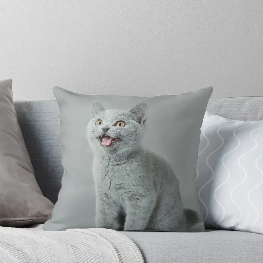 British shorthair cat, British blue kitten Throw Pillow Custom Cushion Decorative Cushions For Luxury Sofa pillow