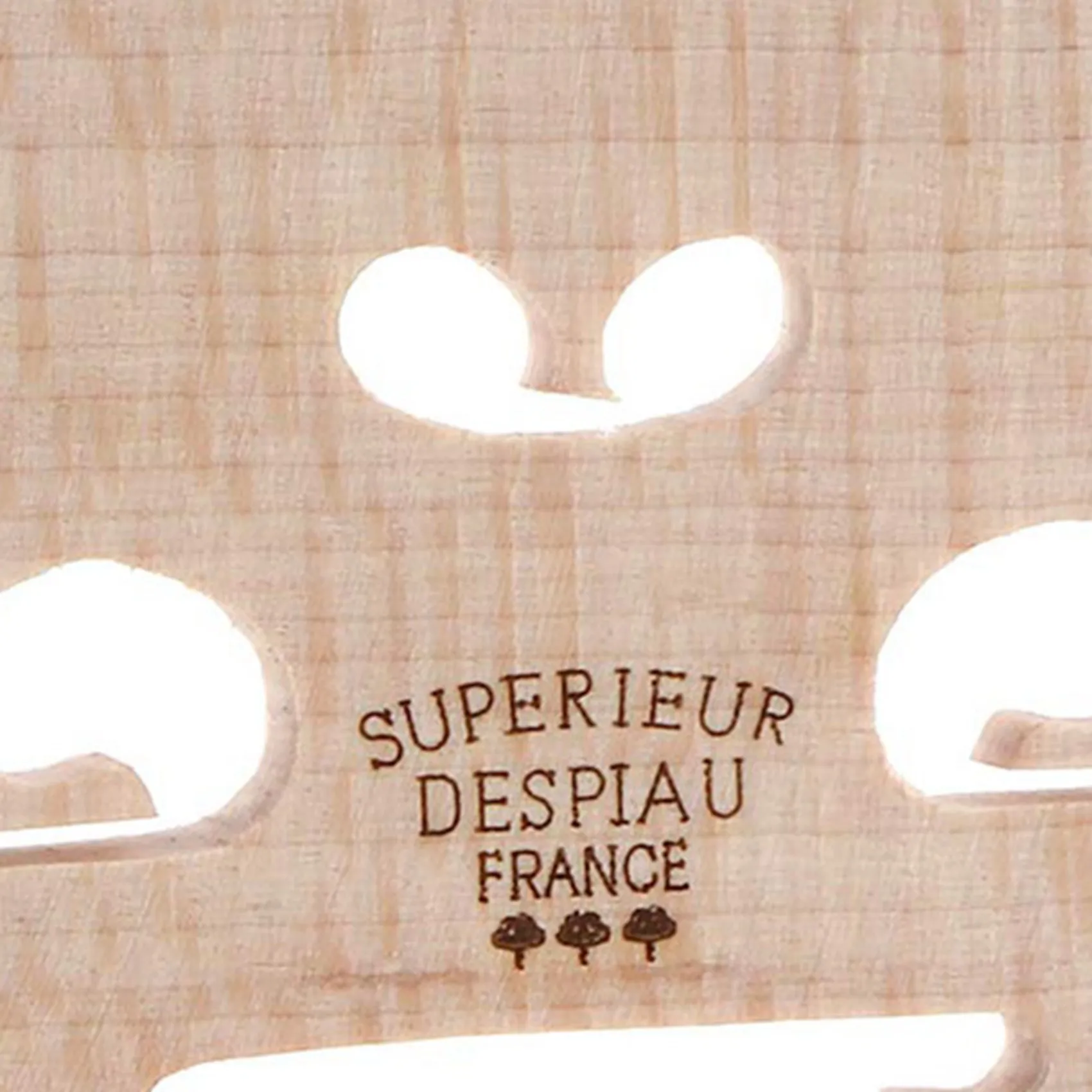 A99I-5Pcs ذيل الكمان الأمعاء الذيل الحبل الأمعاء الحبل النايلون مع جسر الكمان القيقب ، 4/4 حجم أجزاء جسر الكمان المجهزة