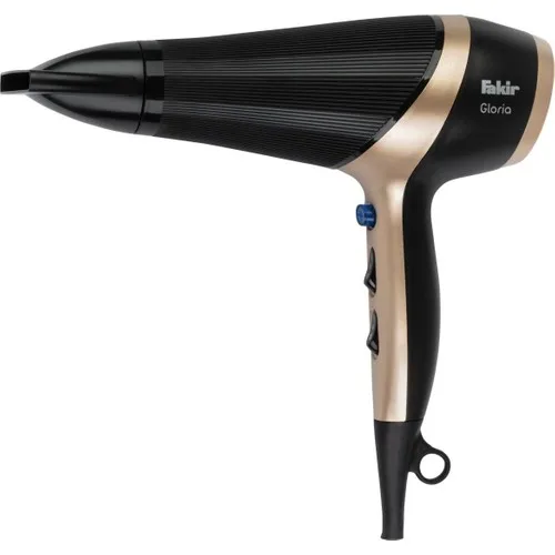 Gloria Hair Dryer-Poor