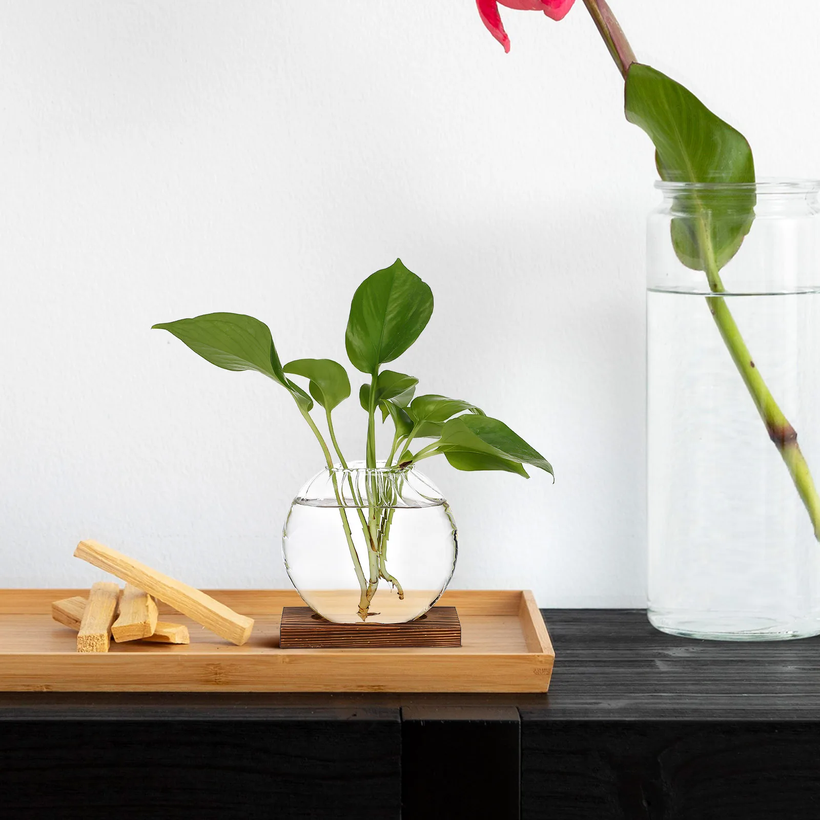 

2Pcs Transparent Glass Vase for Flowers Glass Terrarium Decorative Small Plant Holder Hydroponic Planter Vases Clear