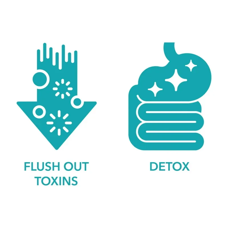 Wsparcie dla jelit i jelita grubego - 15-dniowy kuracja oczyszczająca jelita - Kapsułki oczyszczające jelita - Wspomaga zdrowie trawiennicze i ogólny komfort fizyczny