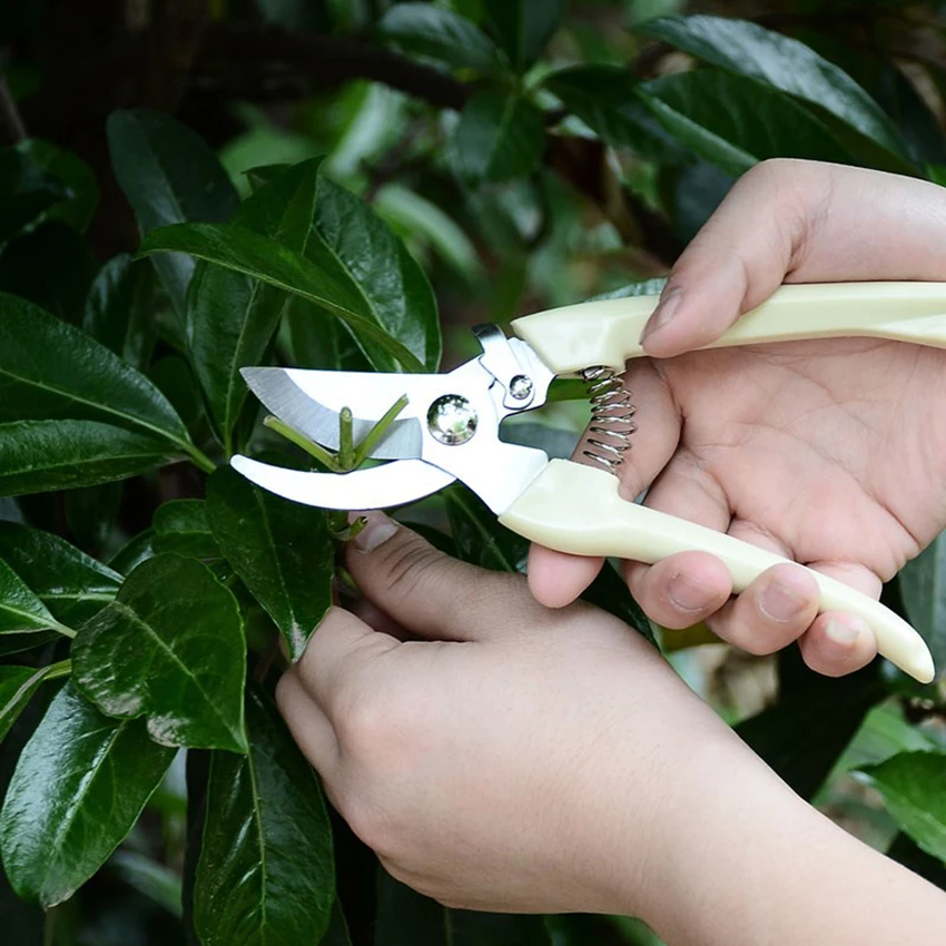 Garden Scissors Bonsai Pruner Grafting Tool Fruit Tree Pruning Shears Pruners Garden Shears Gardening Secateurs Tree HOT