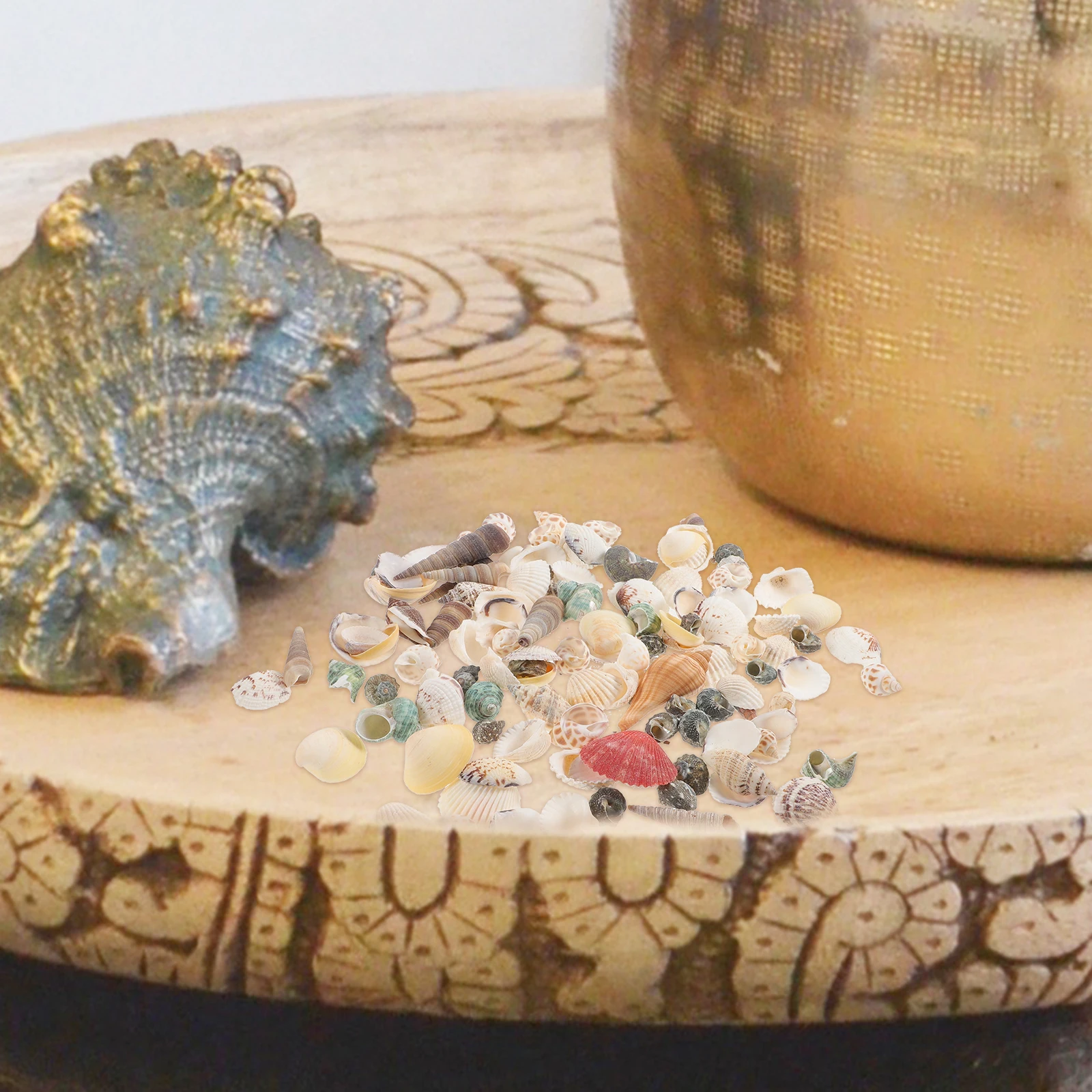 

1 Box Natural Conch Beach Seashells DIY Craft Fish Tank Accessories Ocean Tropical Decor Exquisite Decorative Conch Adorn