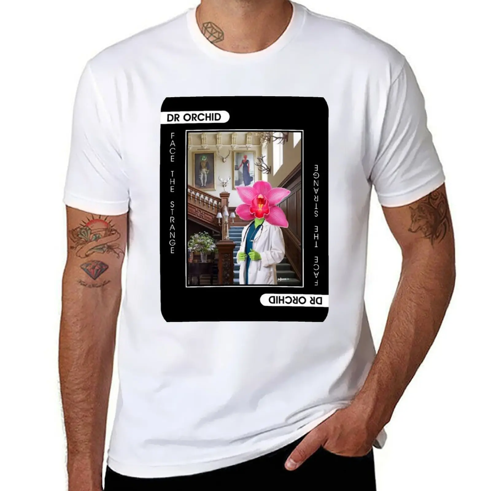 

Dr Orchid T-Shirt t shirts for man pack cotton t shirt for man 100 percent cotton T-Shirt