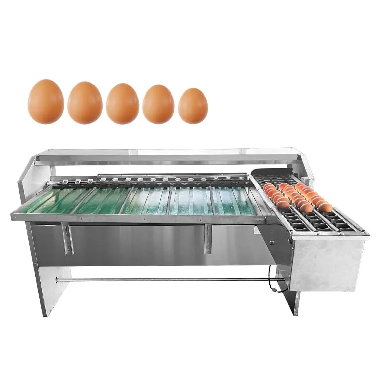 

Sorting Grader Automatic Sorter Tray Weight / Line Sort Production for Small Size Processing Chicken Eggs 5 Egg Grading Machine