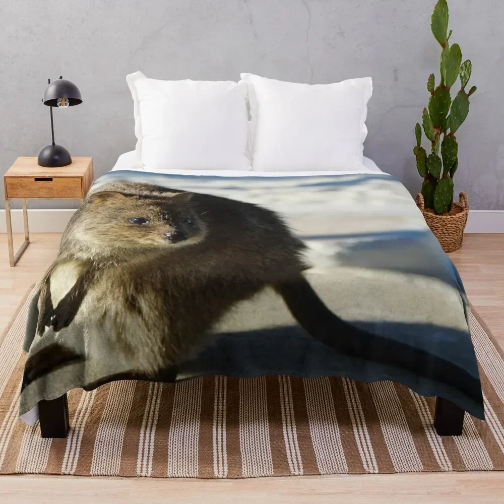 Rottnest Quokka Throw Blanket for sofa decorative Blankets