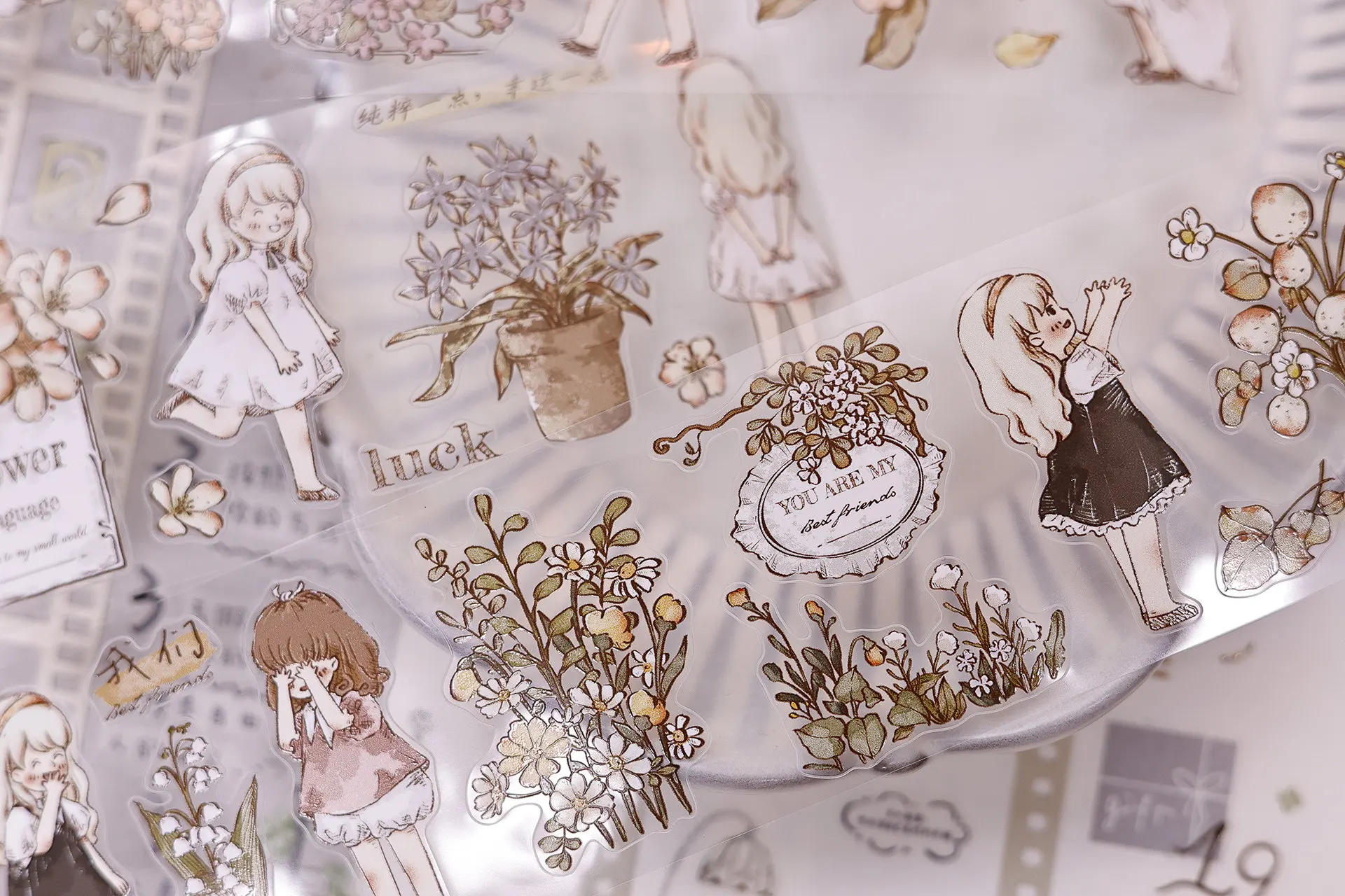 Xiaobaijia Studio V…