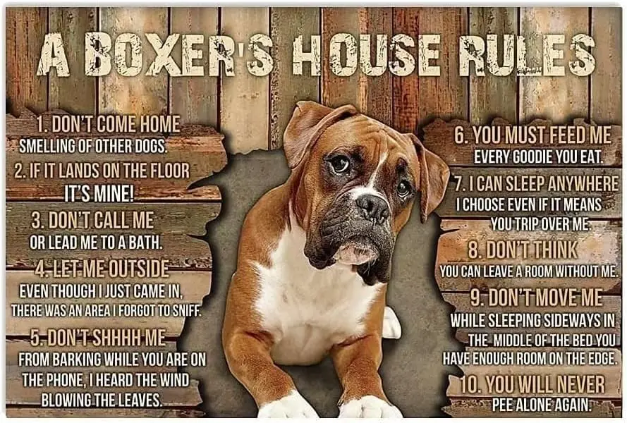 Boxer Dog Metal Tin Sign A Boxer'S House Rules Funny Poster Cafe Living Room Bathroom Kitchen Home Art Wall Decor Plaque Gi sign