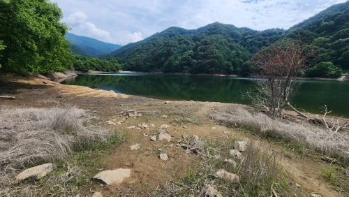 구매후기