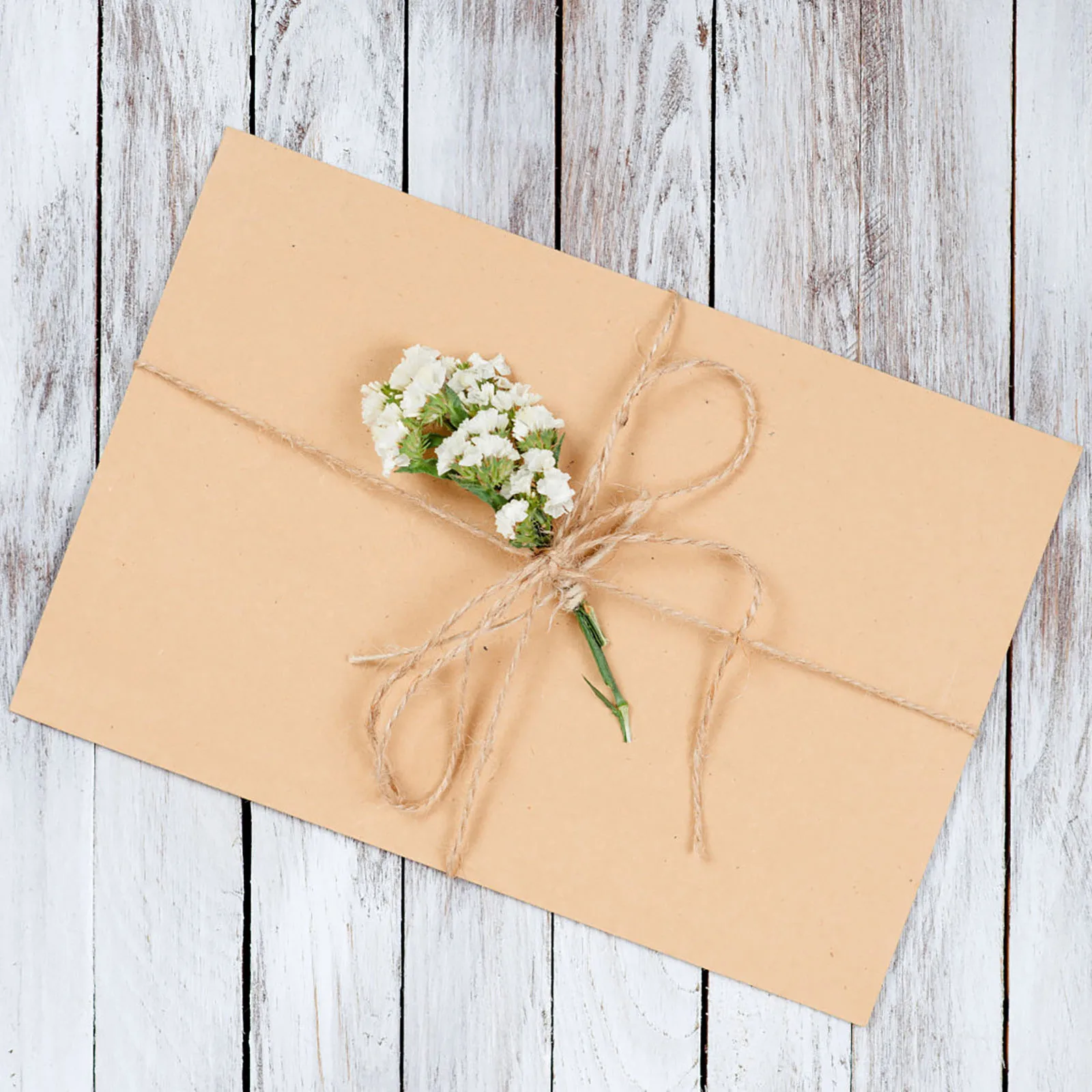 

20 Pcs Kraft Paper Envelopes Blank Photo Letter Solid Color Business Cards Invitations Greeting Elegant Simple Sealed