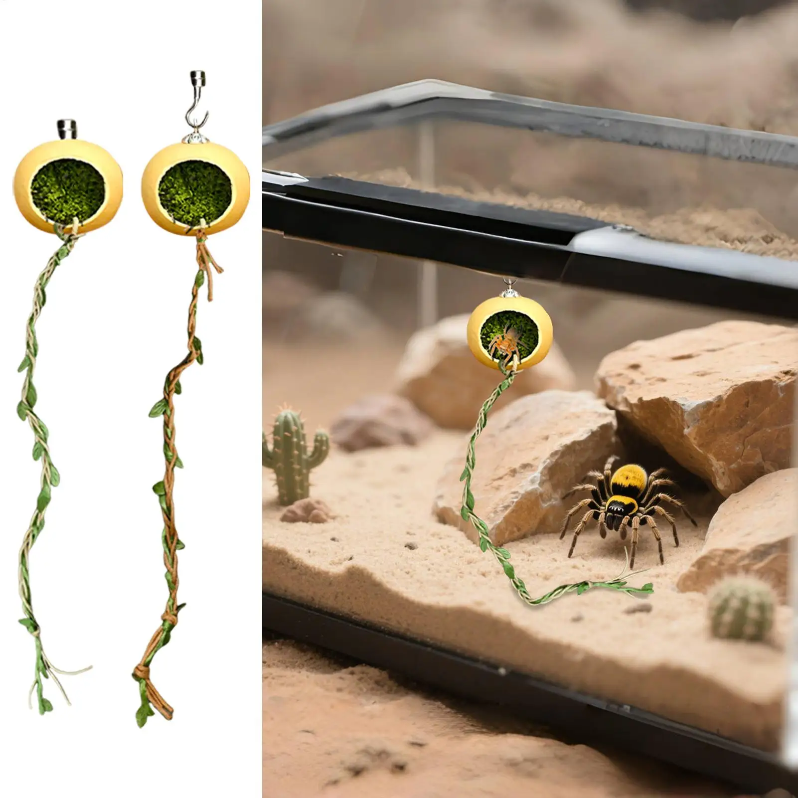 Jumping Spider Enclosure Accessories Climbing Rope Spider Enclosure Accessories Habitat Shelter Decor For Crested Geckos