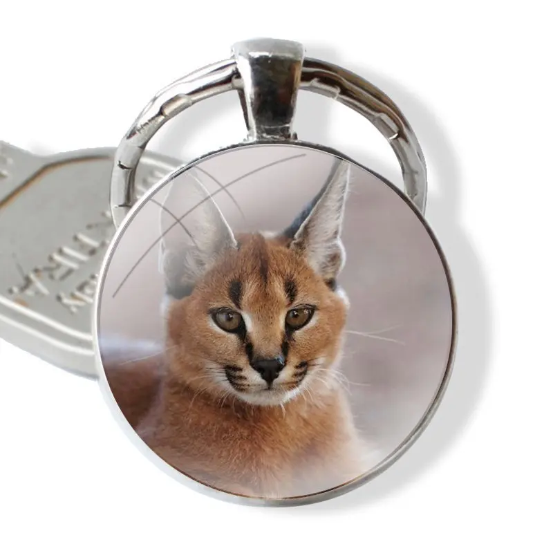 Keychain Glass Cabochon Metal Pendant Classic Men\'s Women\'s Keyring African Lynx Caracal Big Cat