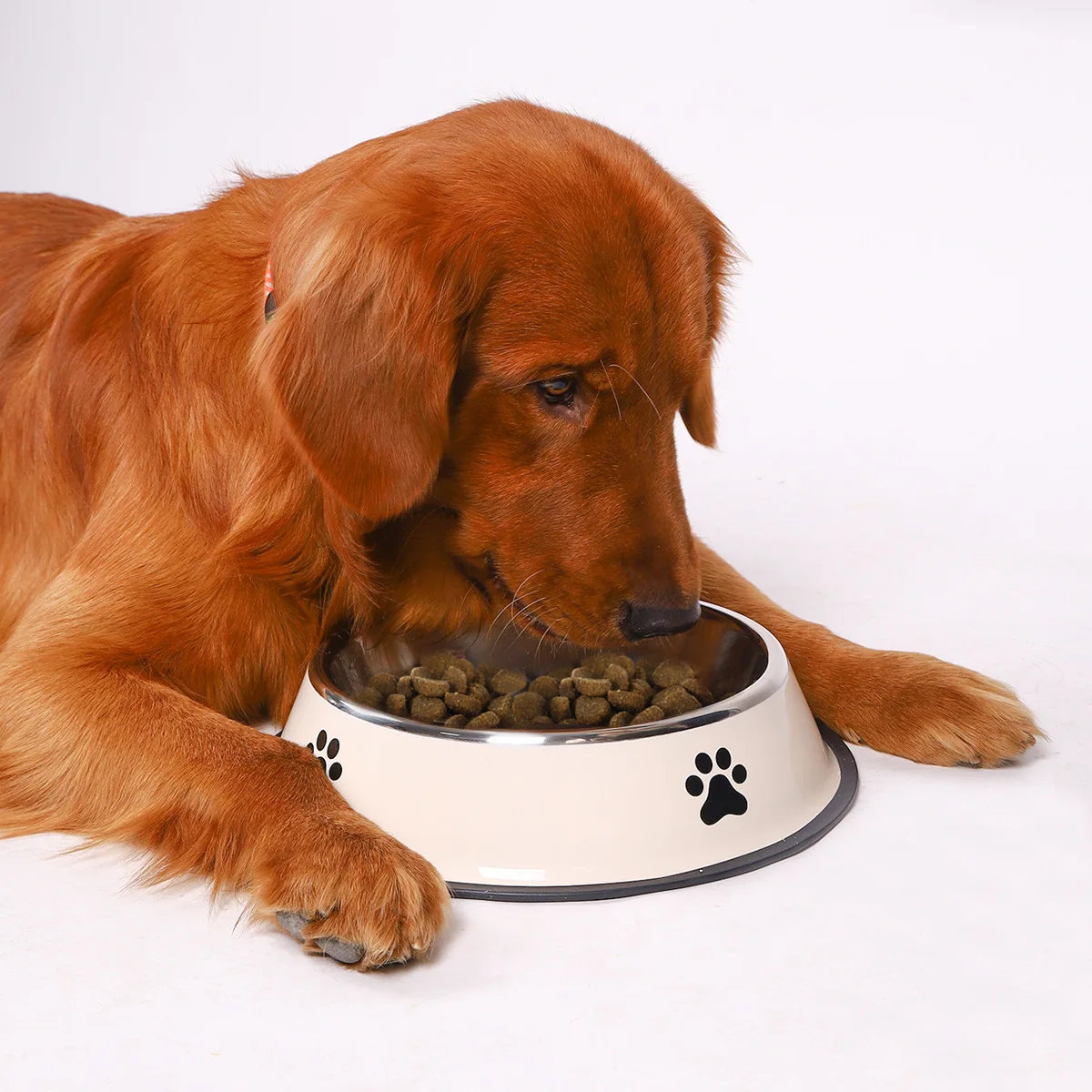 Stainless Steel Pet Bowl Cat Bowl Dog Food Bowl Multiple Specifications Anti-Fall Food Bowl Large Capacity Feeding Pet Supplies - view 4