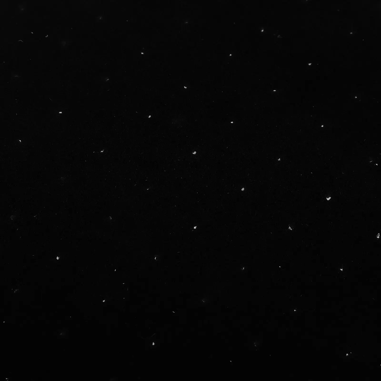 

Multi-Functional Earring Sponge Display Tray Jewelry Insert Pad for Studs Hoops Dangles Storage Protection Jewelry Box Insert