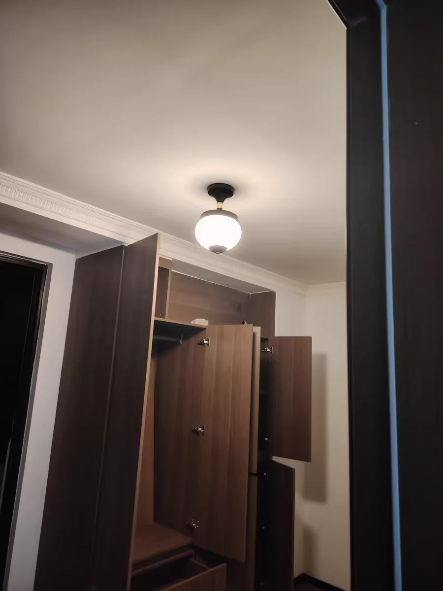 

French Retro American style Modern Popular Pinecone shaped LED color Ceiling Lamp for Balcony Kitchen Foyer Aisle YX123CM