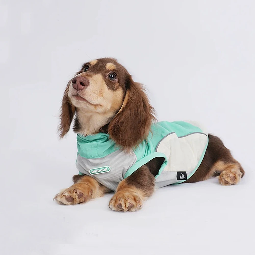Chaleco refrigerante verano para perros Dachshund, anti-insectos - imagen 5