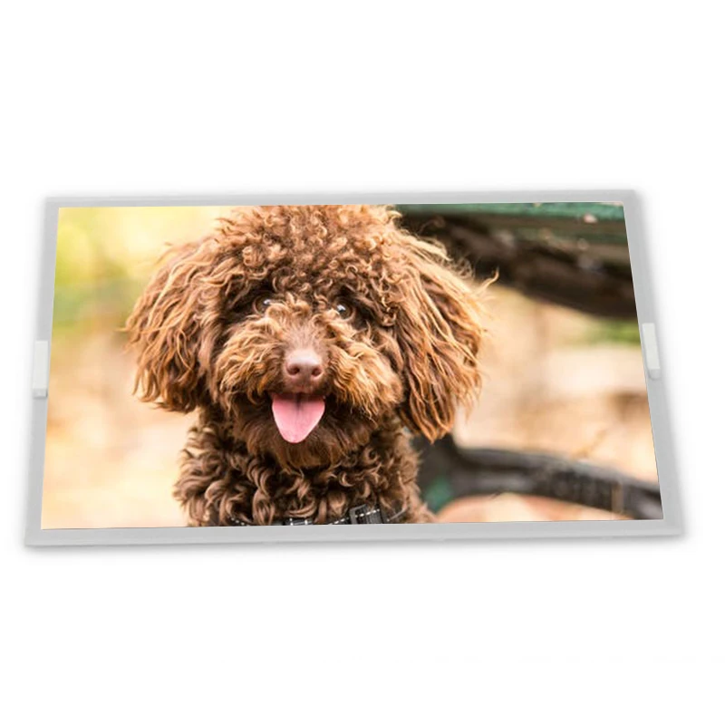 

LQ104V1DC31 10.4" LCD Panel Zhiyan supply