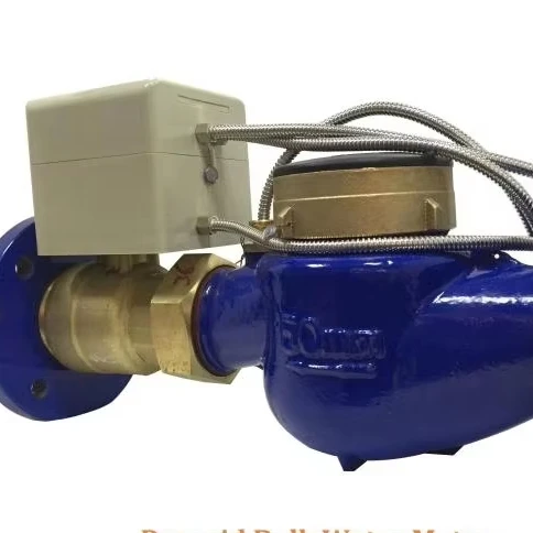 Versatile STW36-M 50 Caliber Waltman Prepaid Water Bulk Meter Customizable OEM Support for Diverse Scenarios AA