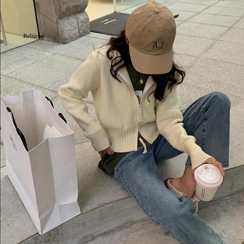 Hooded Double Zipper Sweater Women 2021 Autumn Solid Long Sleeve Short Sweaters Coat Korean Temperament Fashion Clothes