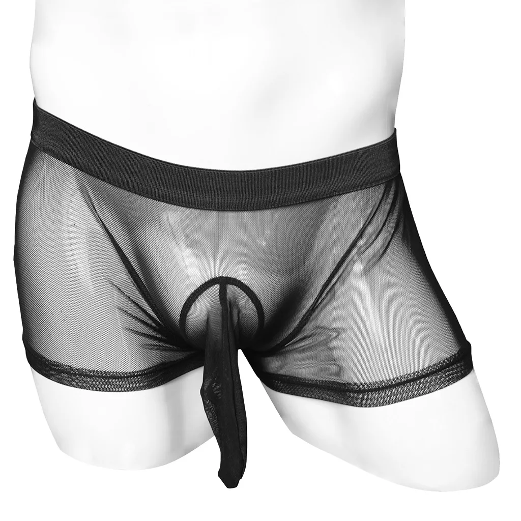 Men's Sexy Underwear Mid Rise Fine Mesh Sheath Closed Boxer Briefs
