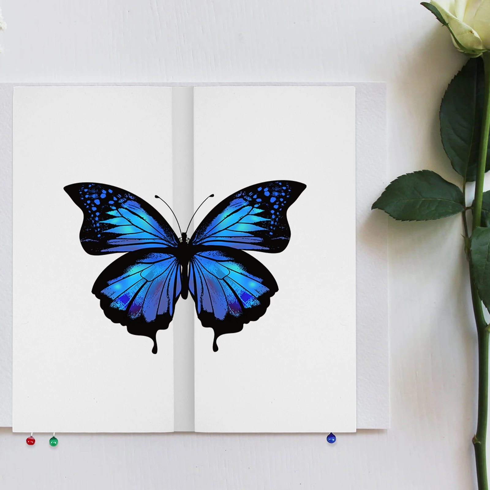 

Butterfly Specimens Wing Spread Tool Boards Showcase Experiment Teaching White Pvc