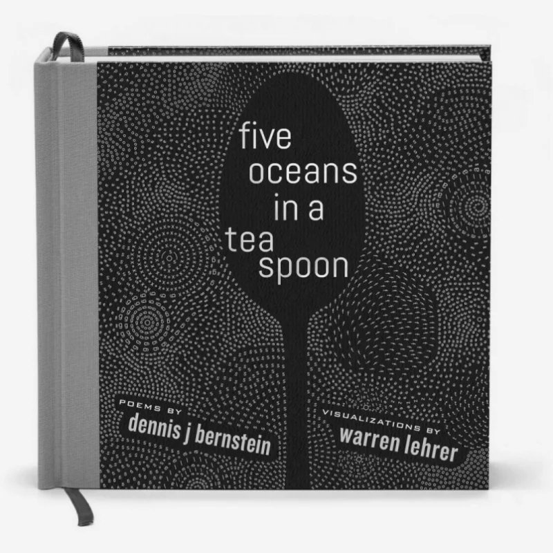 

Пять океанов в чайной ложке Dennis J Bernstein Paper Crown Press 9780996950633 Книга