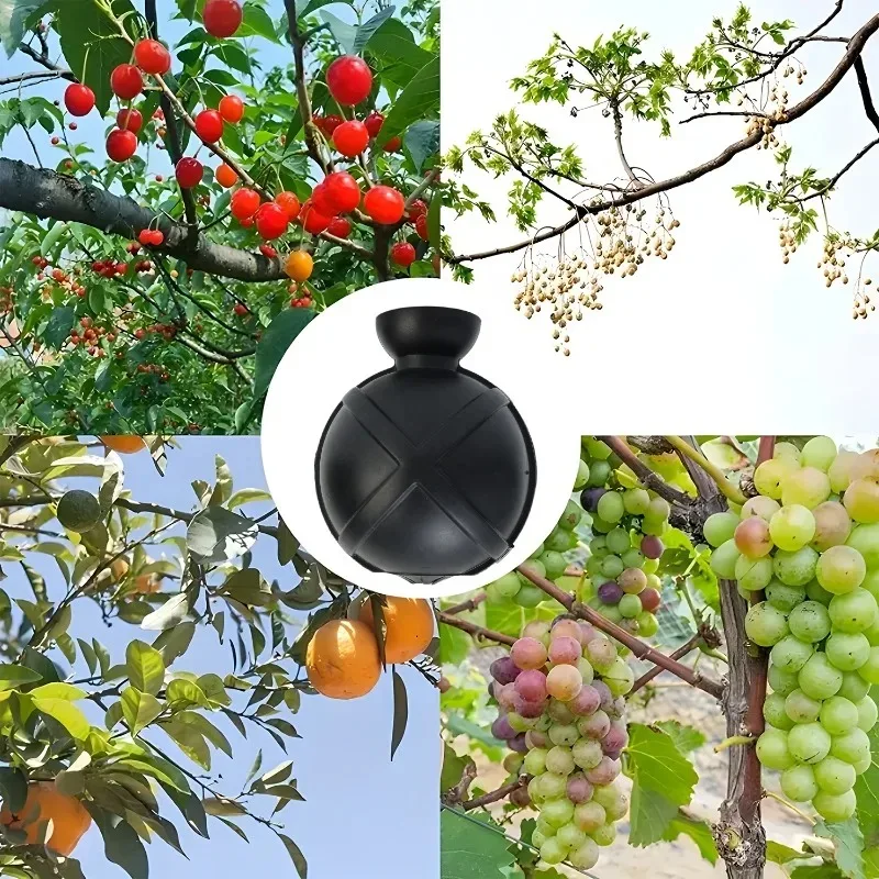 كرة تأصيل النباتات، طبقات الهواء، قطع القطع، علبة تنمو لشجرة الفاكهة، بوتينج عصاري، ركيزة، رعاية زرع داخلية #4